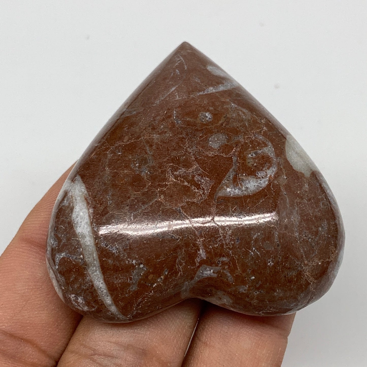 53.7g, 2" x 2"x 0.7", Natural Untreated Red Shell Fossils Half Heart @Morocco,F1