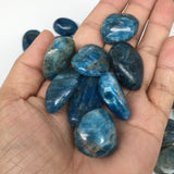 1pc, 10-20g,1"x-1.5" Blue Apatite Tumbled Small Gemstone Polished Reiki, B1807