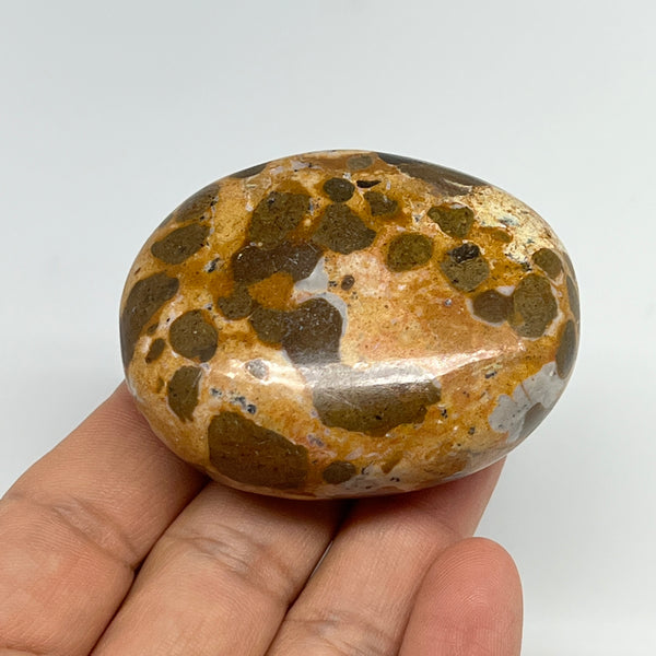 106.3g, 2.2"x1.7"x1", Natural Fruit Jasper Palm-Stone Gemstone @India, B21889