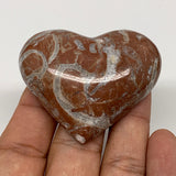 52.4g, 1.8" x 2.2"x 0.6", Natural Untreated Red Shell Fossils Half Heart @Morocc