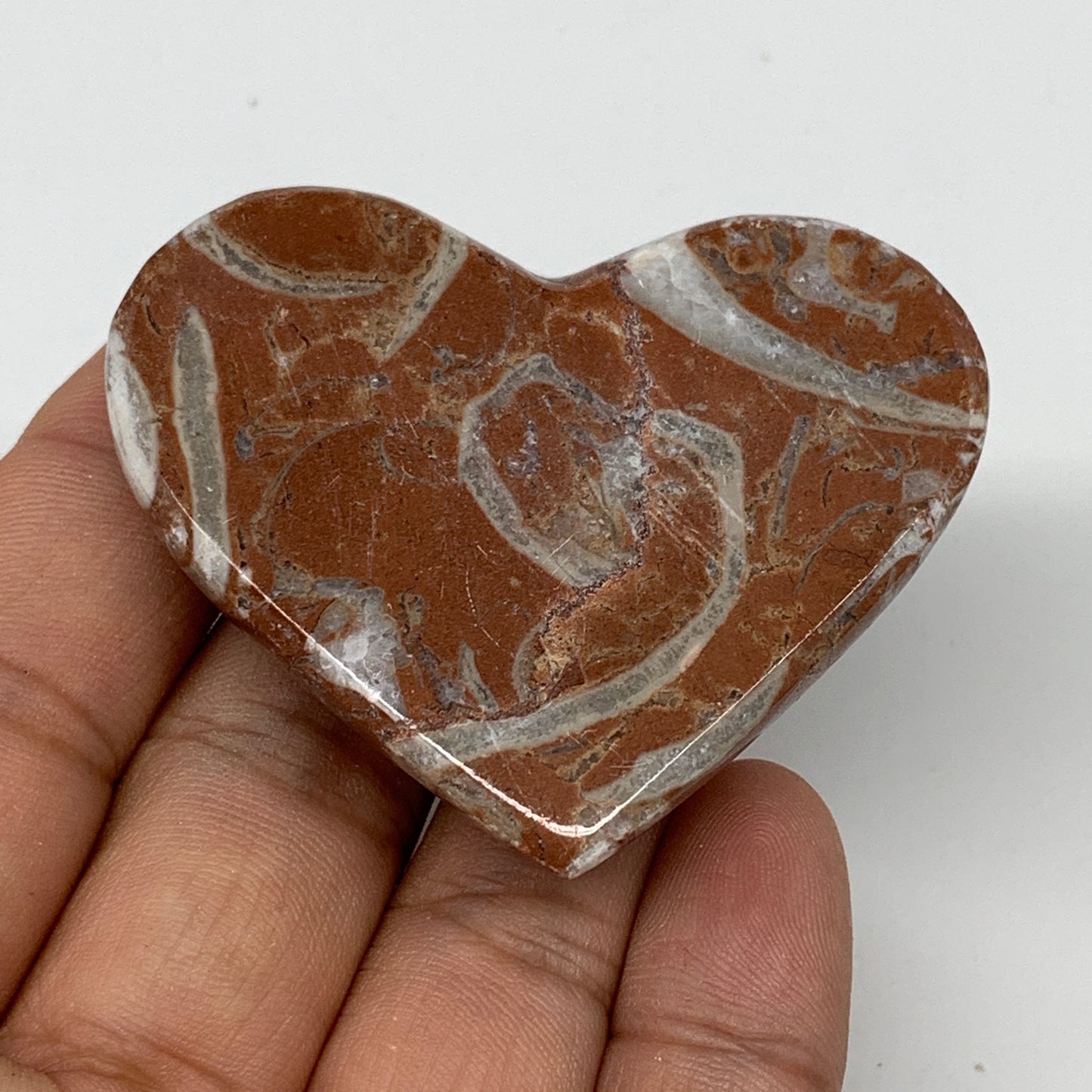 52.4g, 1.8" x 2.2"x 0.6", Natural Untreated Red Shell Fossils Half Heart @Morocc