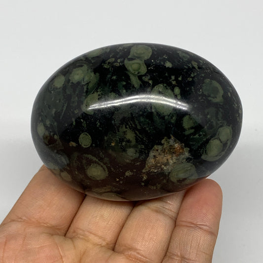 218.5g, 2.8"x2.1"x1.8", Crocodile Kambaba Jasper Palm-Stone @Madagascar, B15168
