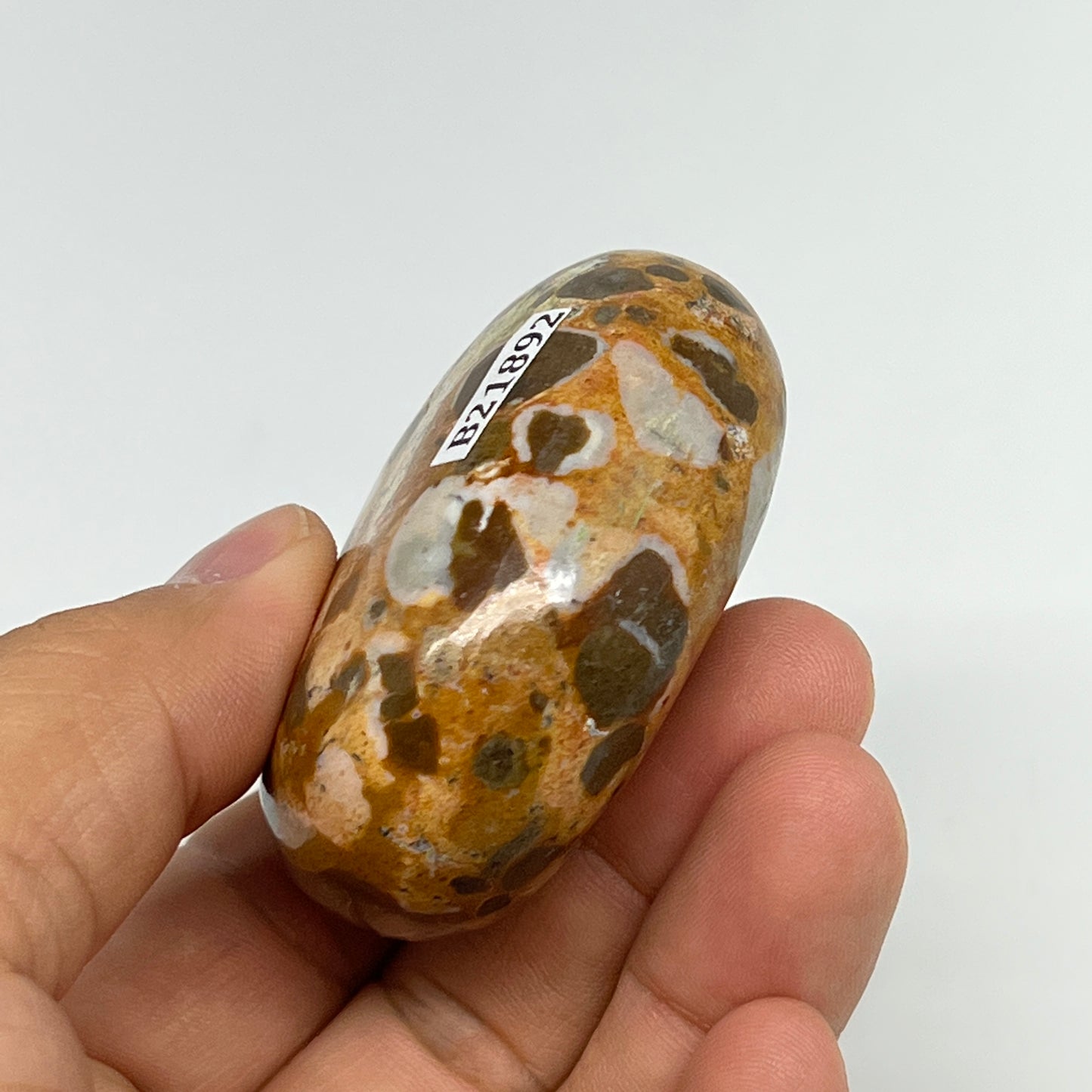 99.9g, 2.3"x1.6"x1", Natural Fruit Jasper Palm-Stone Gemstone @India, B21892