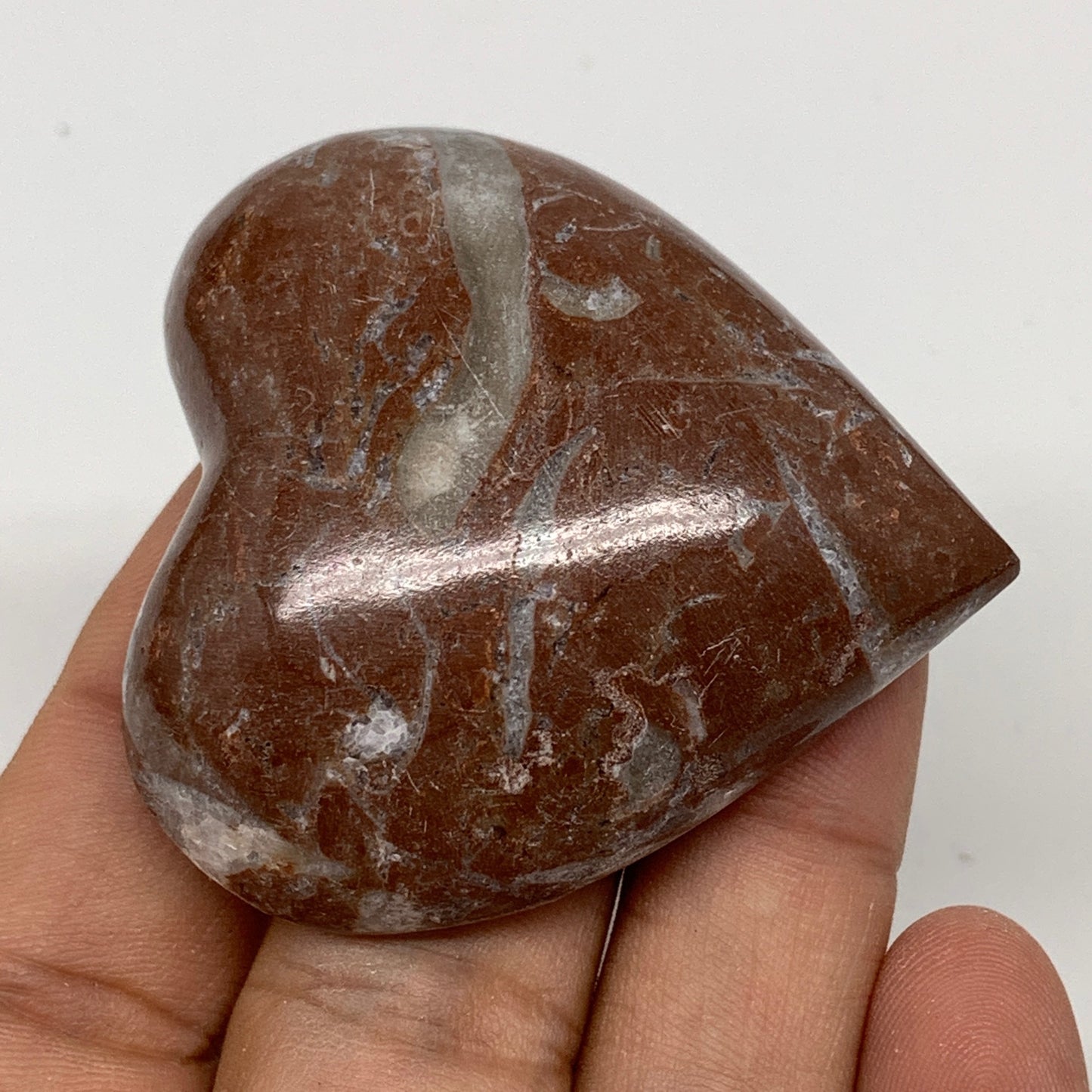 49.3g, 2" x 1.9"x 0.6", Natural Untreated Red Shell Fossils Half Heart @Morocco,
