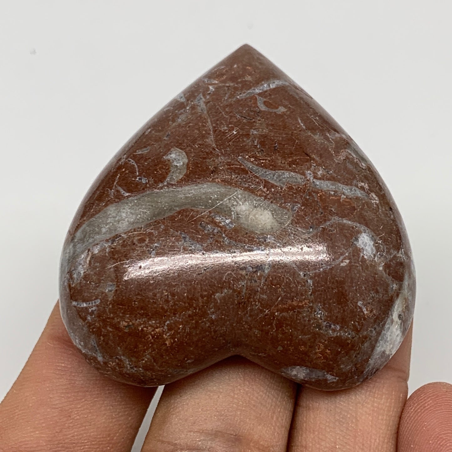 49.3g, 2" x 1.9"x 0.6", Natural Untreated Red Shell Fossils Half Heart @Morocco,