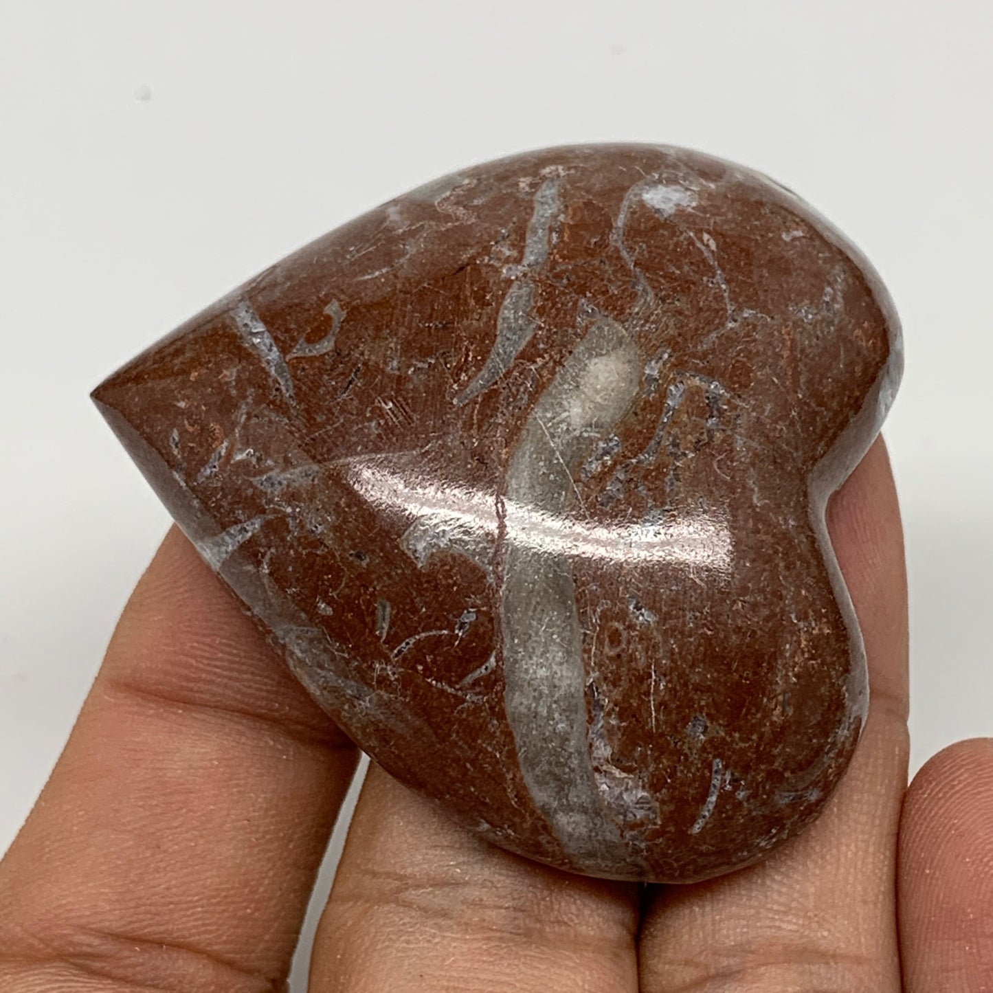 49.3g, 2" x 1.9"x 0.6", Natural Untreated Red Shell Fossils Half Heart @Morocco,