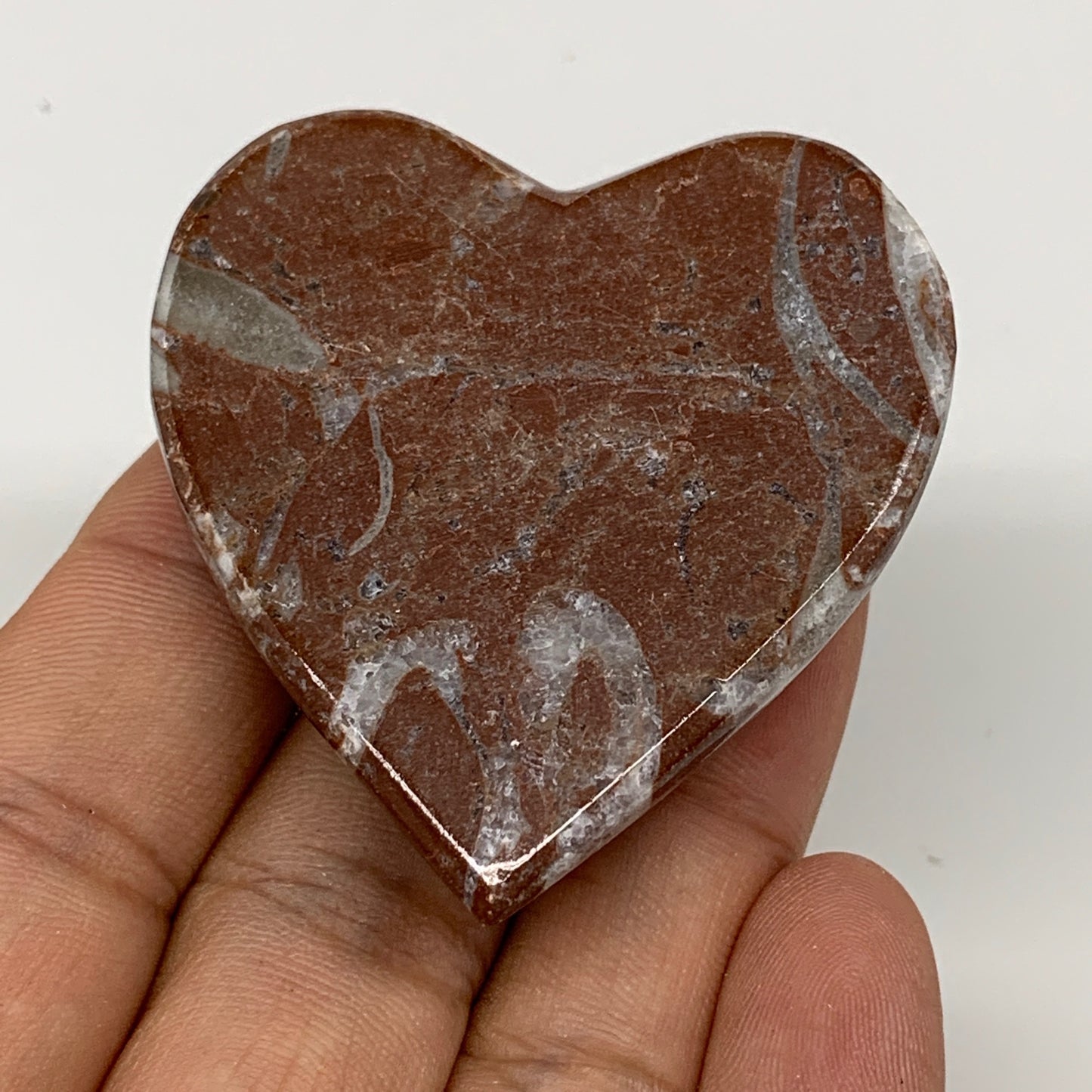 49.3g, 2" x 1.9"x 0.6", Natural Untreated Red Shell Fossils Half Heart @Morocco,