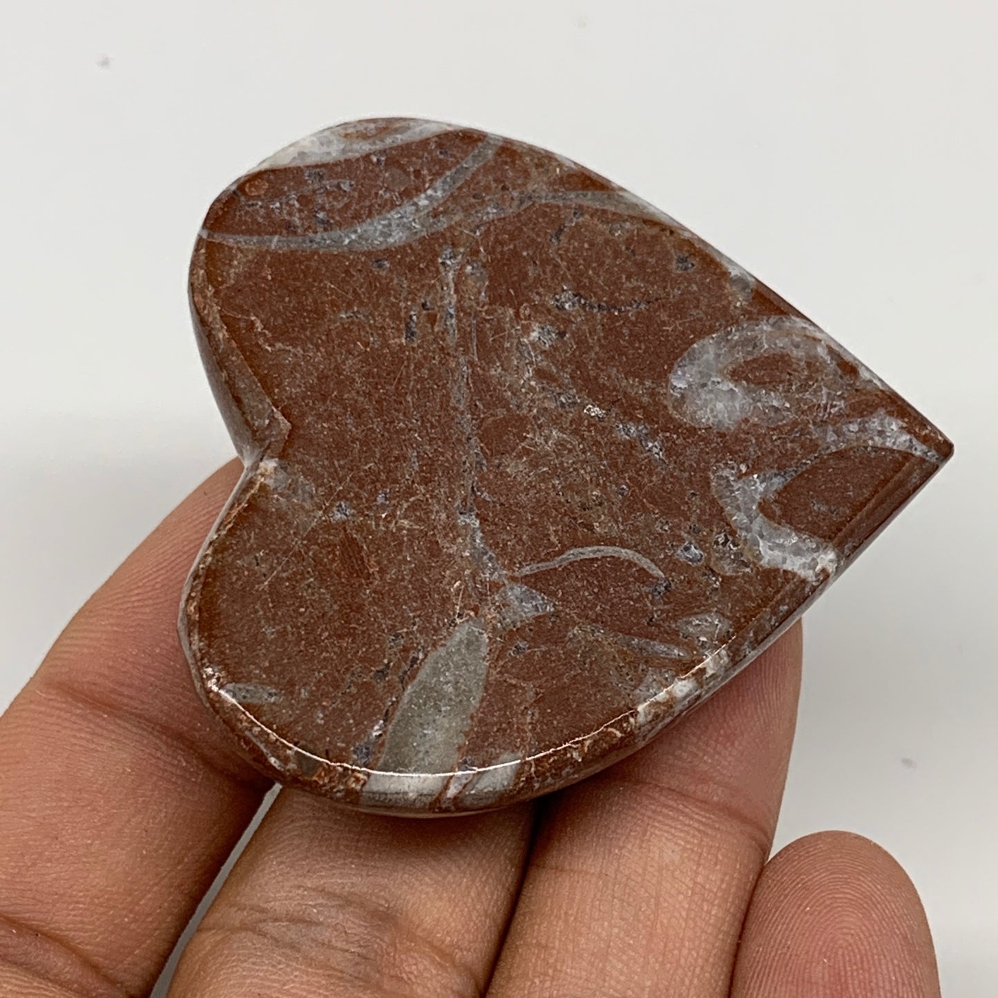 49.3g, 2" x 1.9"x 0.6", Natural Untreated Red Shell Fossils Half Heart @Morocco,