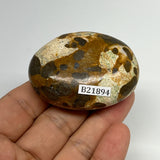 74.9g, 2.1"x1.6"x0.9", Natural Fruit Jasper Palm-Stone Gemstone @India, B21894