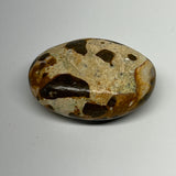 74.9g, 2.1"x1.6"x0.9", Natural Fruit Jasper Palm-Stone Gemstone @India, B21894