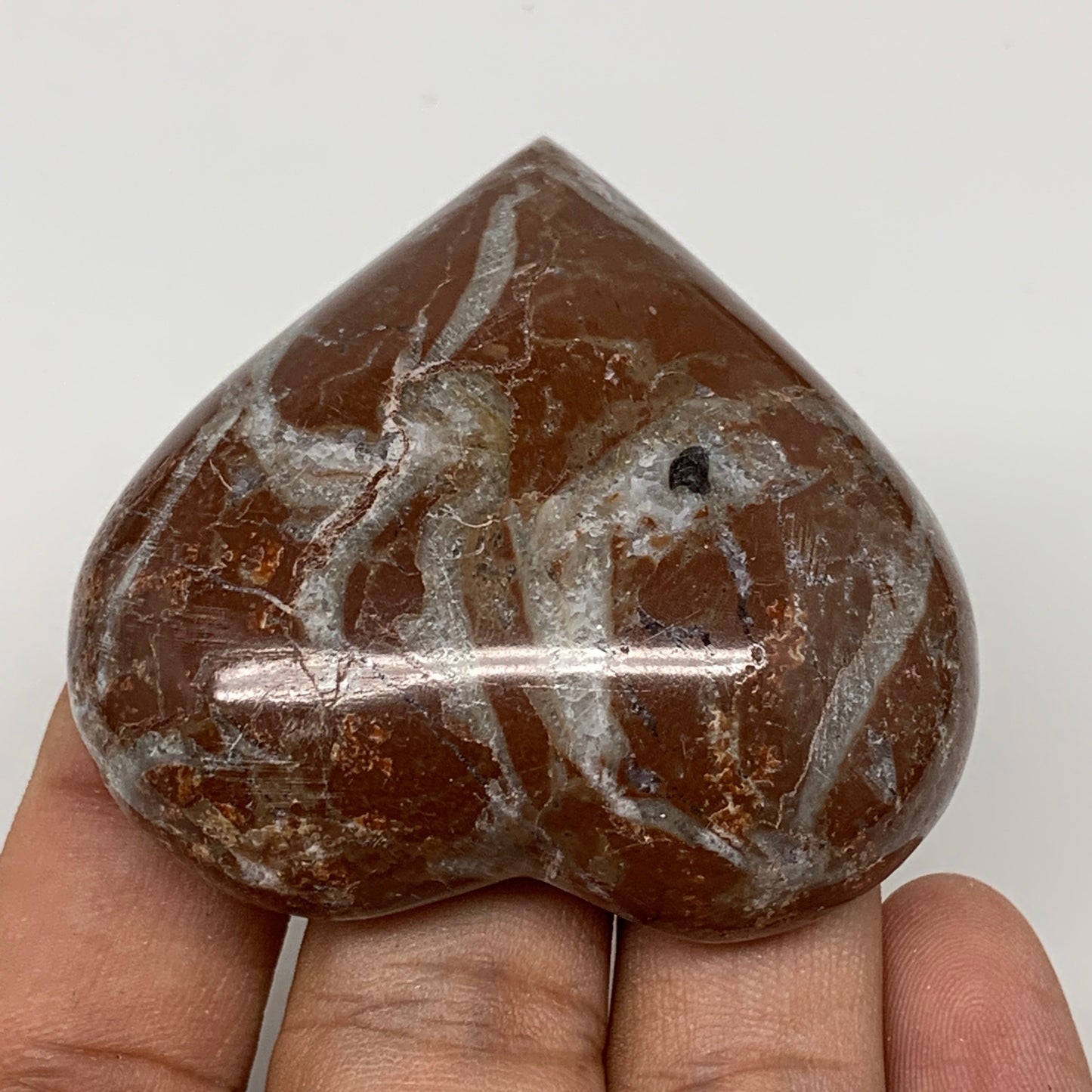 62.5g, 2.1" x 2.1"x 0.7", Natural Untreated Red Shell Fossils Half Heart @Morocc