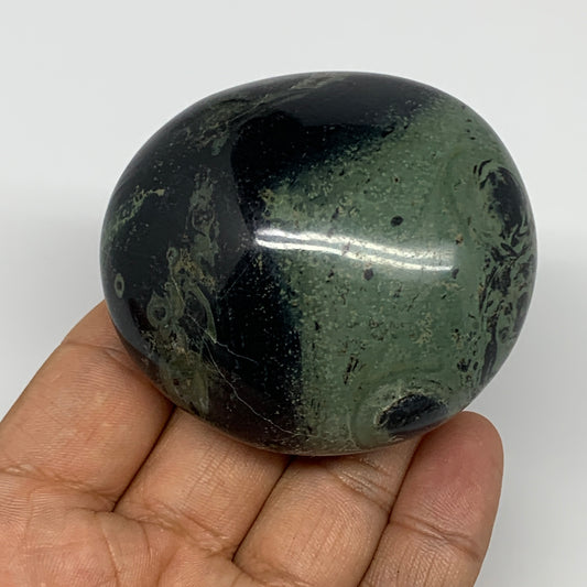 162.9g, 2.5"x2.2"x1.3", Crocodile Kambaba Jasper Palm-Stone @Madagascar, B15172