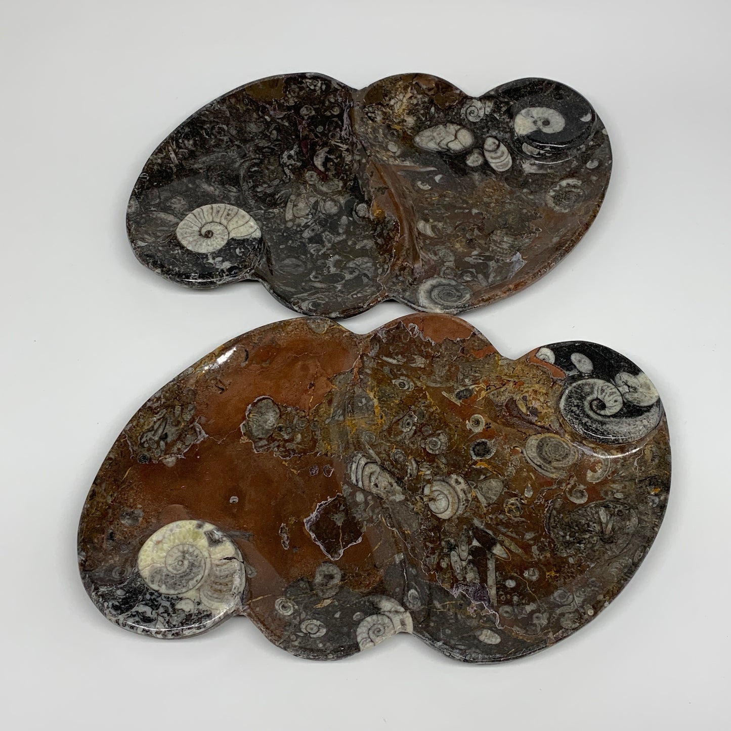 2pcs Set,8.5"x5.5" Double Heart Fossils Orthoceras Ammonite Bowls @Morocco,B8511