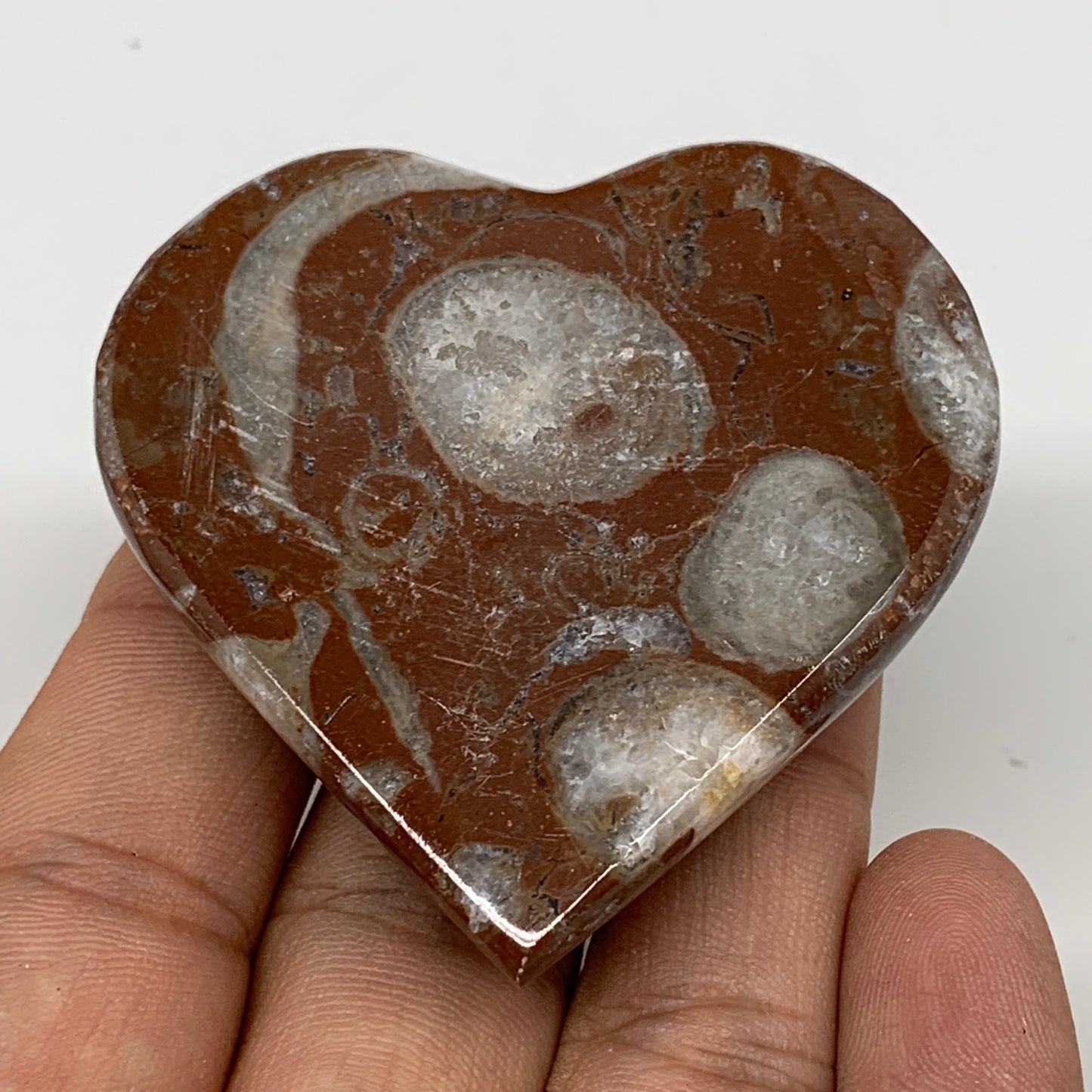 67.3g, 2.1" x 2.1"x 0.7", Natural Untreated Red Shell Fossils Half Heart @Morocc