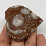 67.3g, 2.1" x 2.1"x 0.7", Natural Untreated Red Shell Fossils Half Heart @Morocc