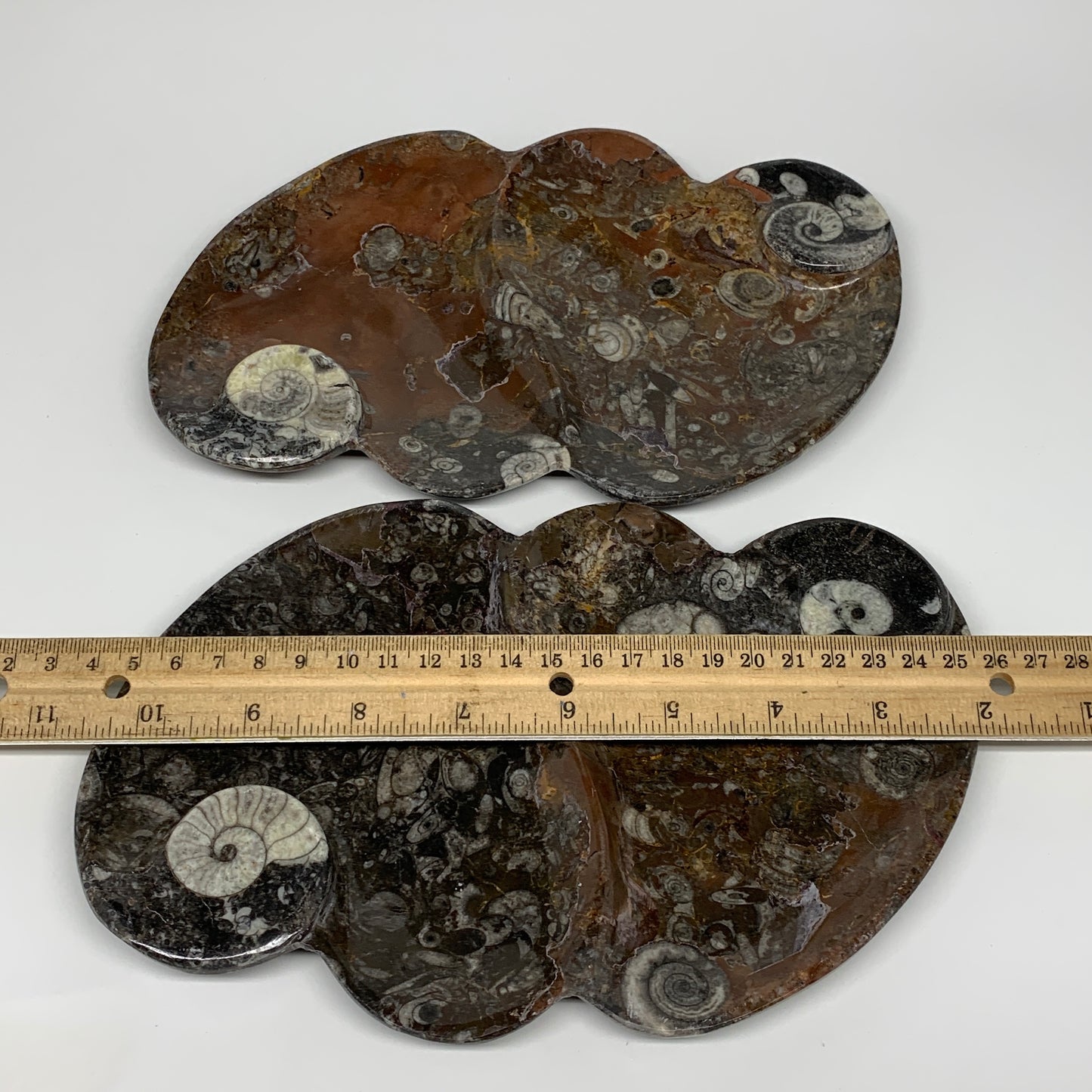 2pcs Set,8.5"x5.5" Double Heart Fossils Orthoceras Ammonite Bowls @Morocco,B8511