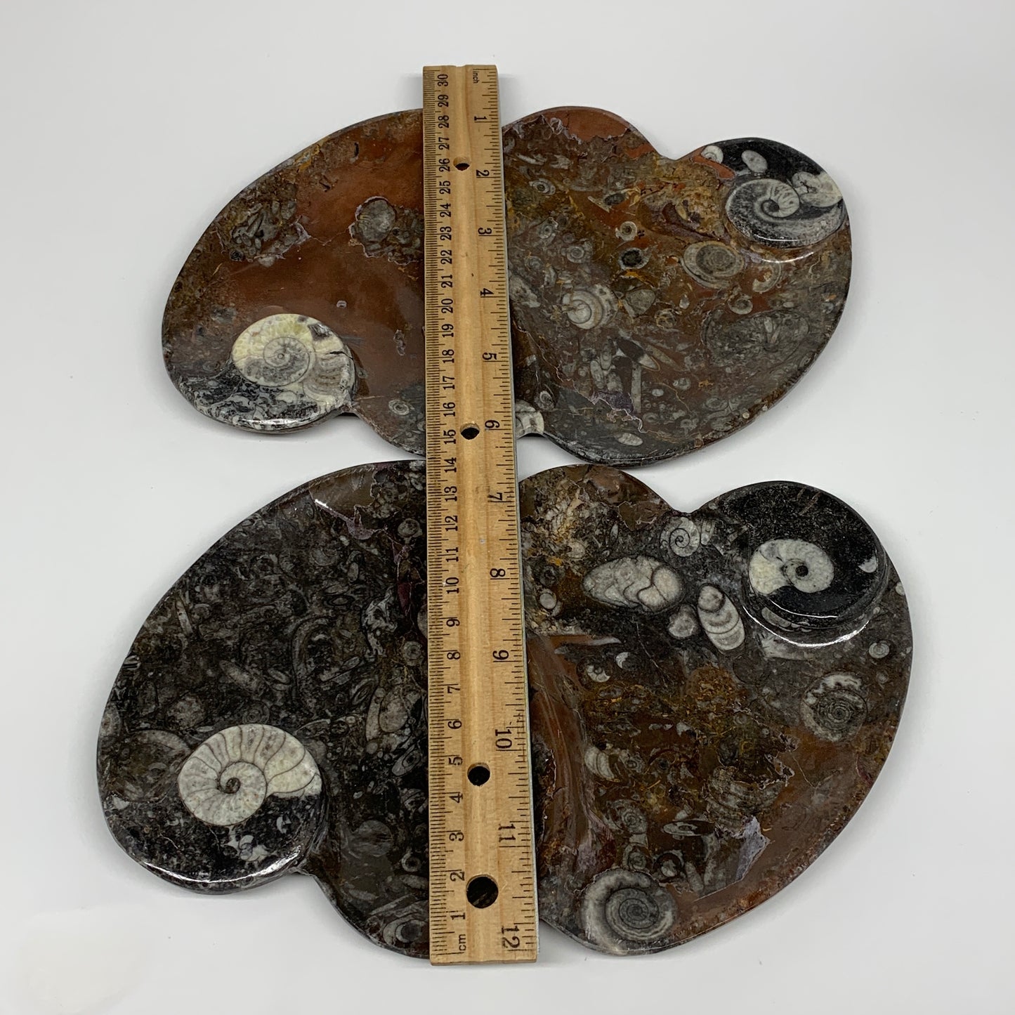 2pcs Set,8.5"x5.5" Double Heart Fossils Orthoceras Ammonite Bowls @Morocco,B8511