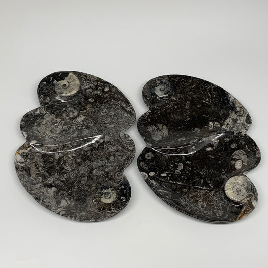 2pcs Set,8.5"x5.5" Double Heart Fossils Orthoceras Ammonite Bowls @Morocco,B8513