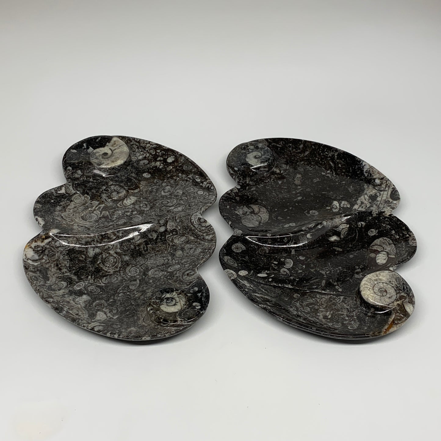 2pcs Set,8.5"x5.5" Double Heart Fossils Orthoceras Ammonite Bowls @Morocco,B8513