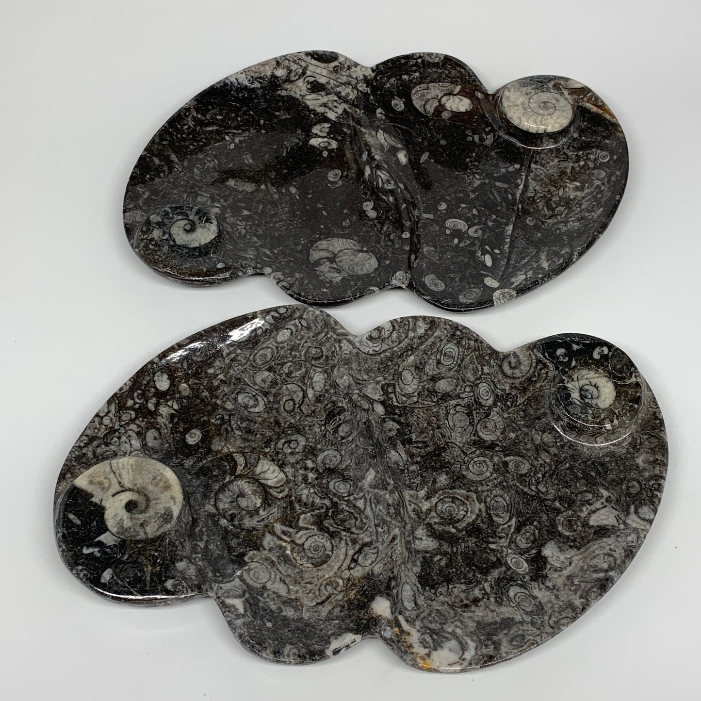 2pcs Set,8.5"x5.5" Double Heart Fossils Orthoceras Ammonite Bowls @Morocco,B8513