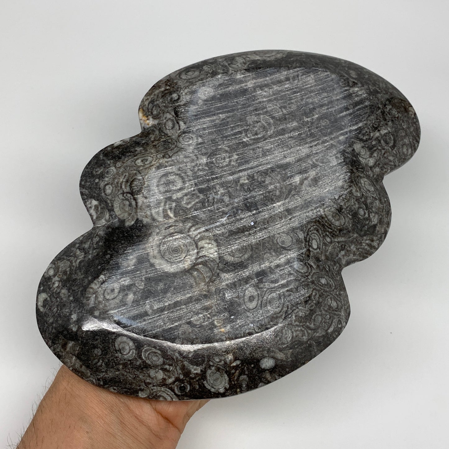 2pcs Set,8.5"x5.5" Double Heart Fossils Orthoceras Ammonite Bowls @Morocco,B8513