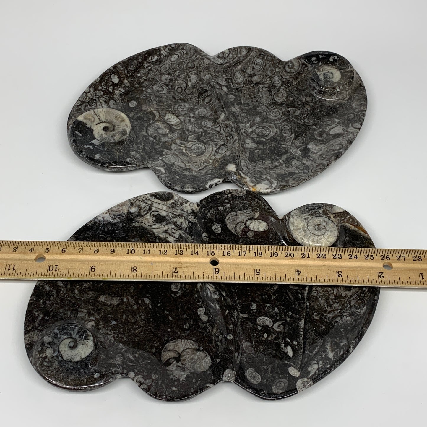 2pcs Set,8.5"x5.5" Double Heart Fossils Orthoceras Ammonite Bowls @Morocco,B8513