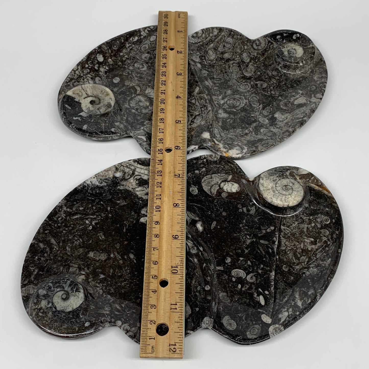 2pcs Set,8.5"x5.5" Double Heart Fossils Orthoceras Ammonite Bowls @Morocco,B8513