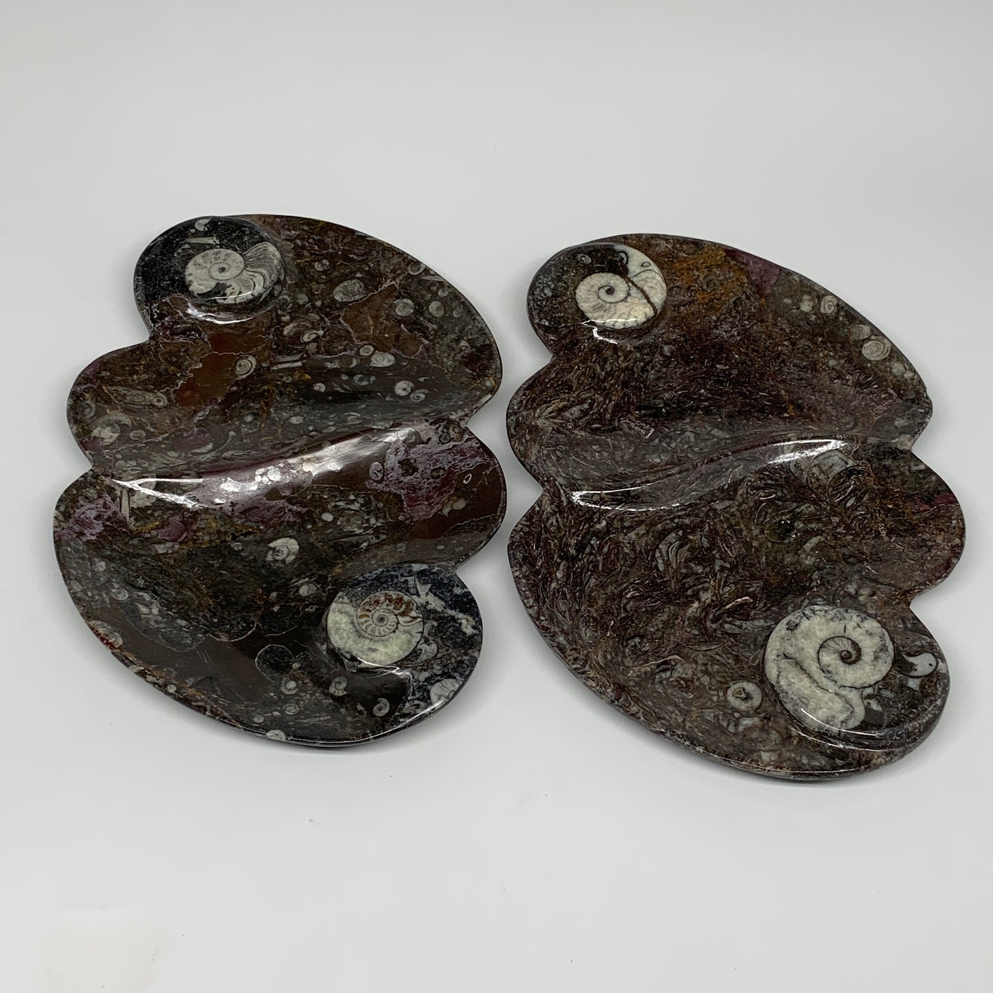 2pcs Set,8.5"x5.5" Double Heart Fossils Orthoceras Ammonite Bowls @Morocco,B8515