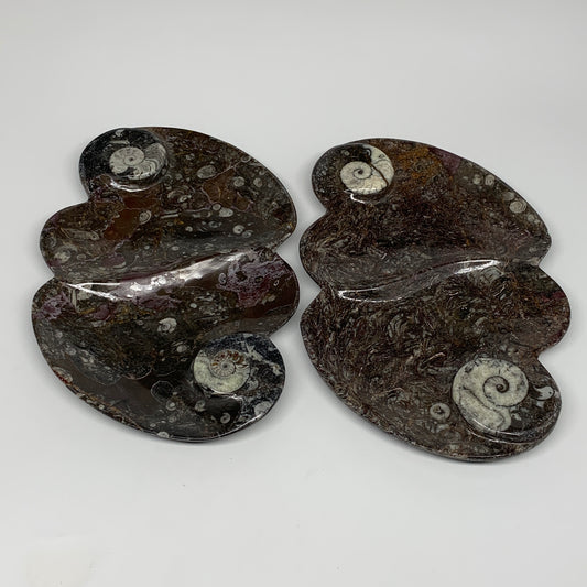 2pcs Set,8.5"x5.5" Double Heart Fossils Orthoceras Ammonite Bowls @Morocco,B8515