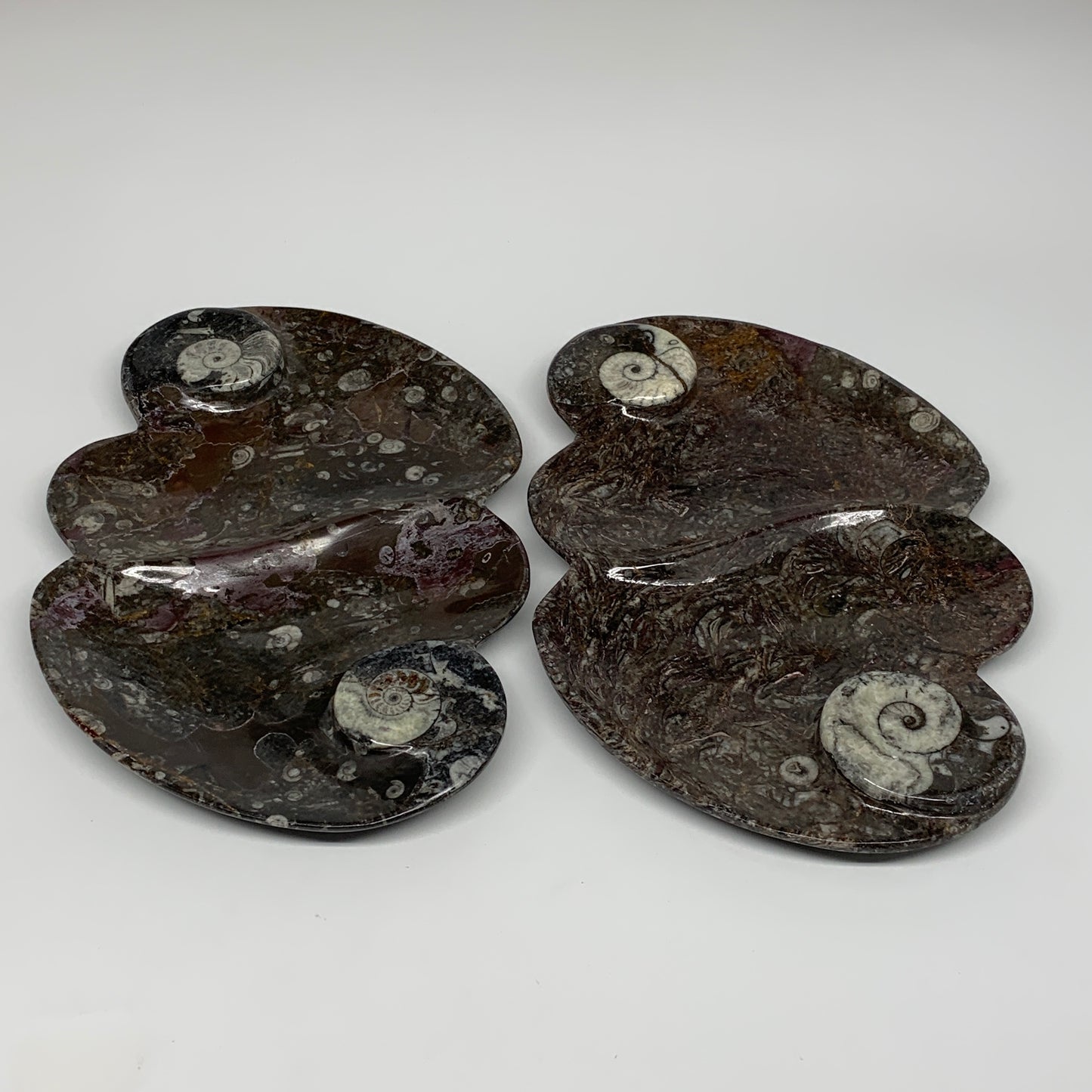 2pcs Set,8.5"x5.5" Double Heart Fossils Orthoceras Ammonite Bowls @Morocco,B8515