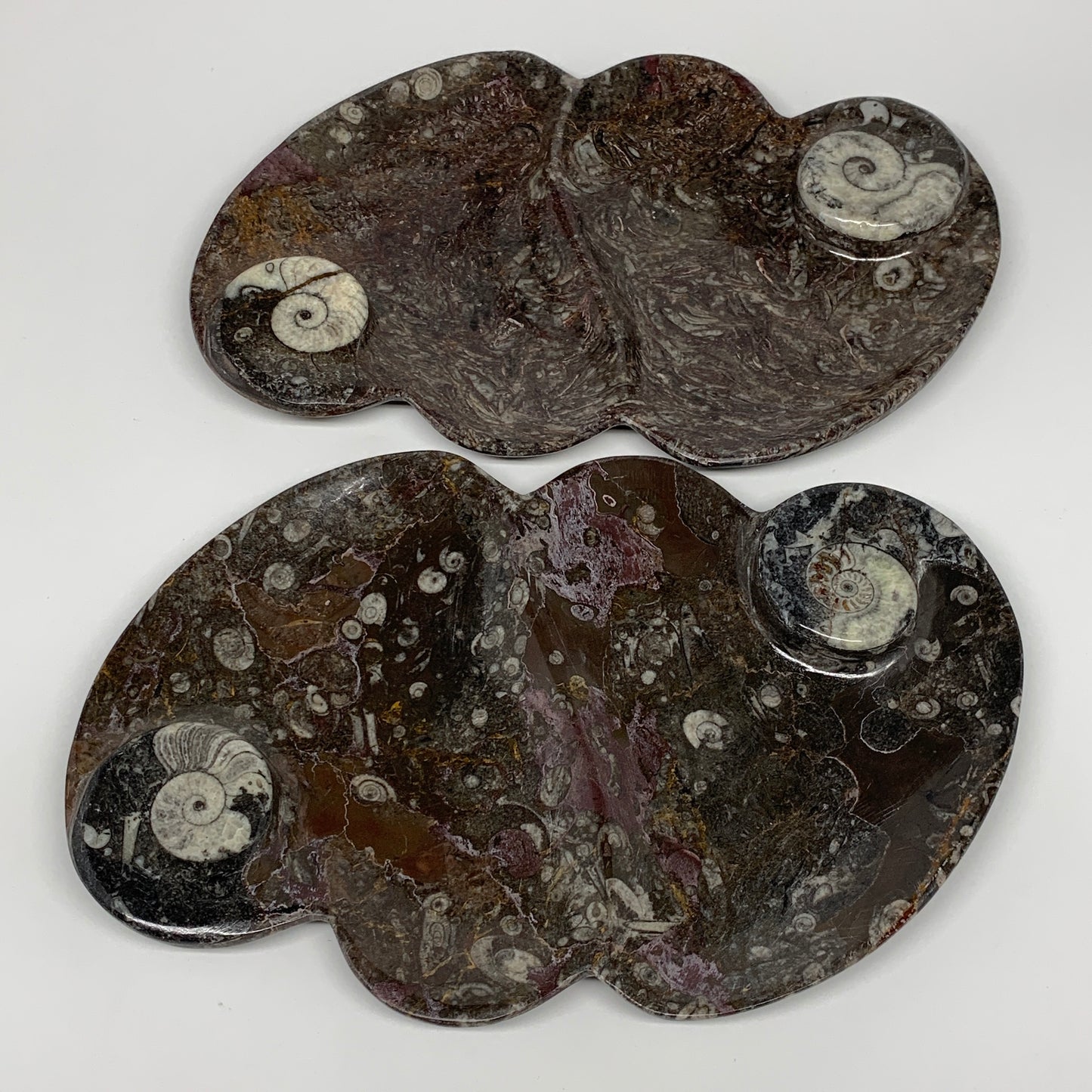 2pcs Set,8.5"x5.5" Double Heart Fossils Orthoceras Ammonite Bowls @Morocco,B8515
