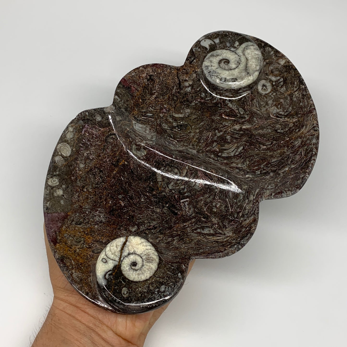 2pcs Set,8.5"x5.5" Double Heart Fossils Orthoceras Ammonite Bowls @Morocco,B8515