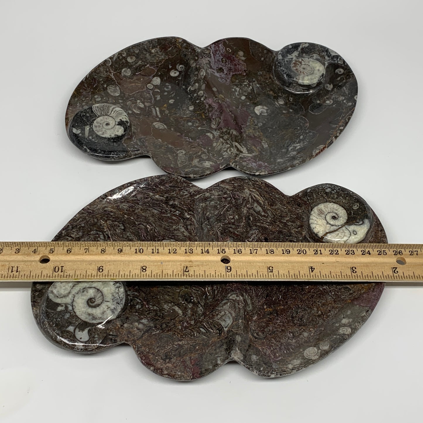 2pcs Set,8.5"x5.5" Double Heart Fossils Orthoceras Ammonite Bowls @Morocco,B8515