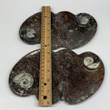 2pcs Set,8.5"x5.5" Double Heart Fossils Orthoceras Ammonite Bowls @Morocco,B8515