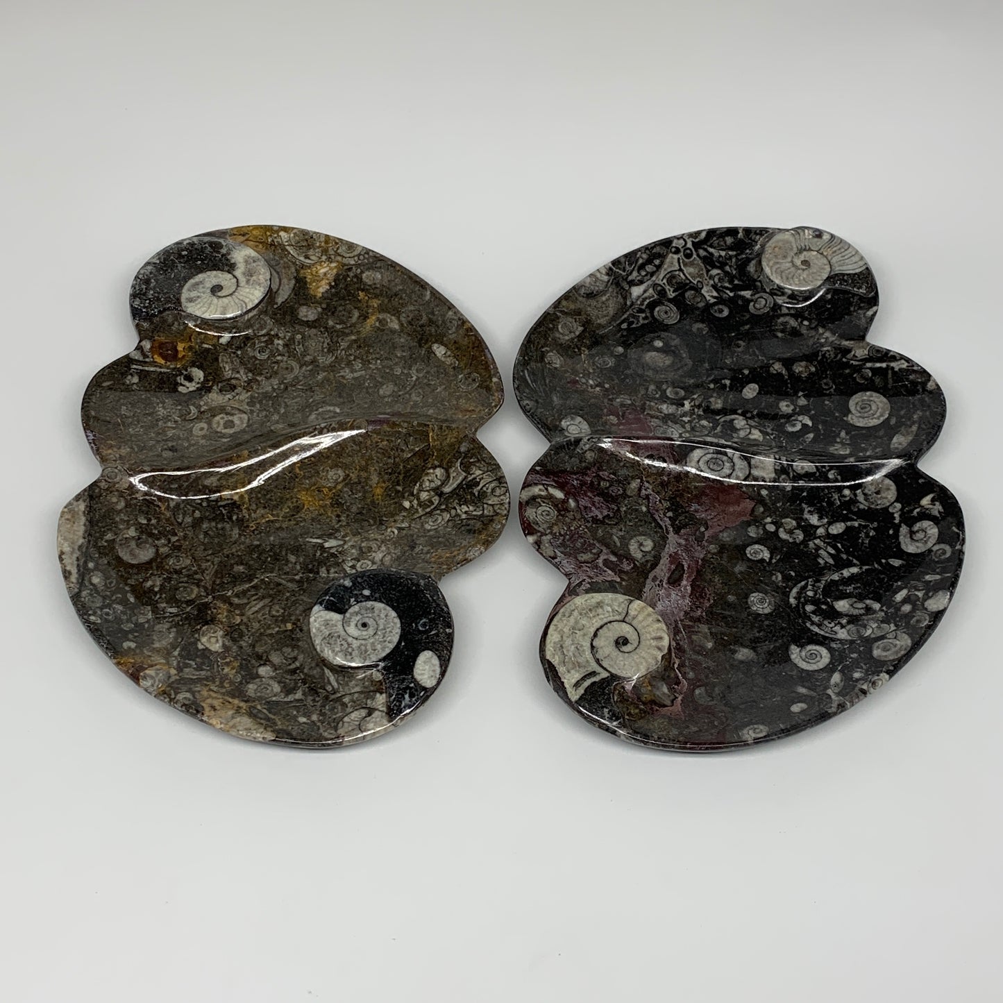 2pcs Set,8.5"x5.5" Double Heart Fossils Orthoceras Ammonite Bowls @Morocco,B8517