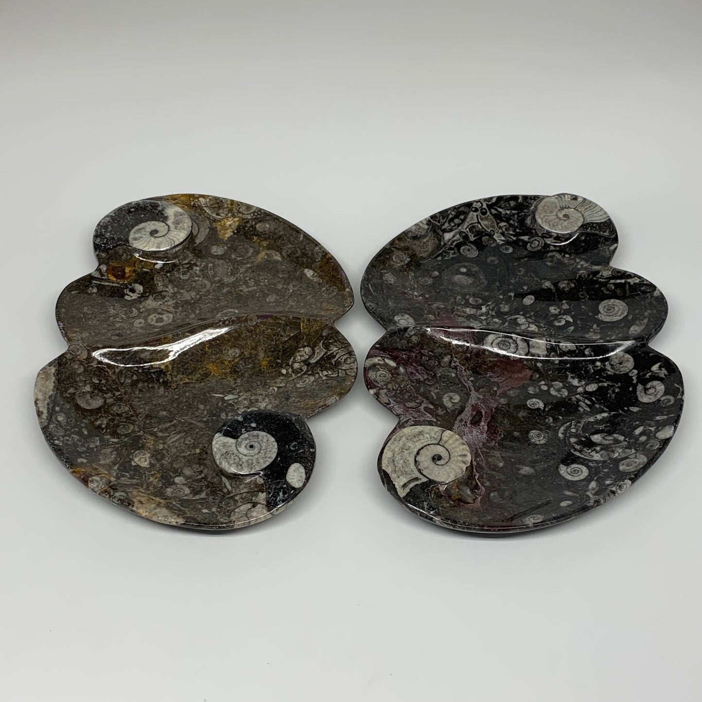 2pcs Set,8.5"x5.5" Double Heart Fossils Orthoceras Ammonite Bowls @Morocco,B8517