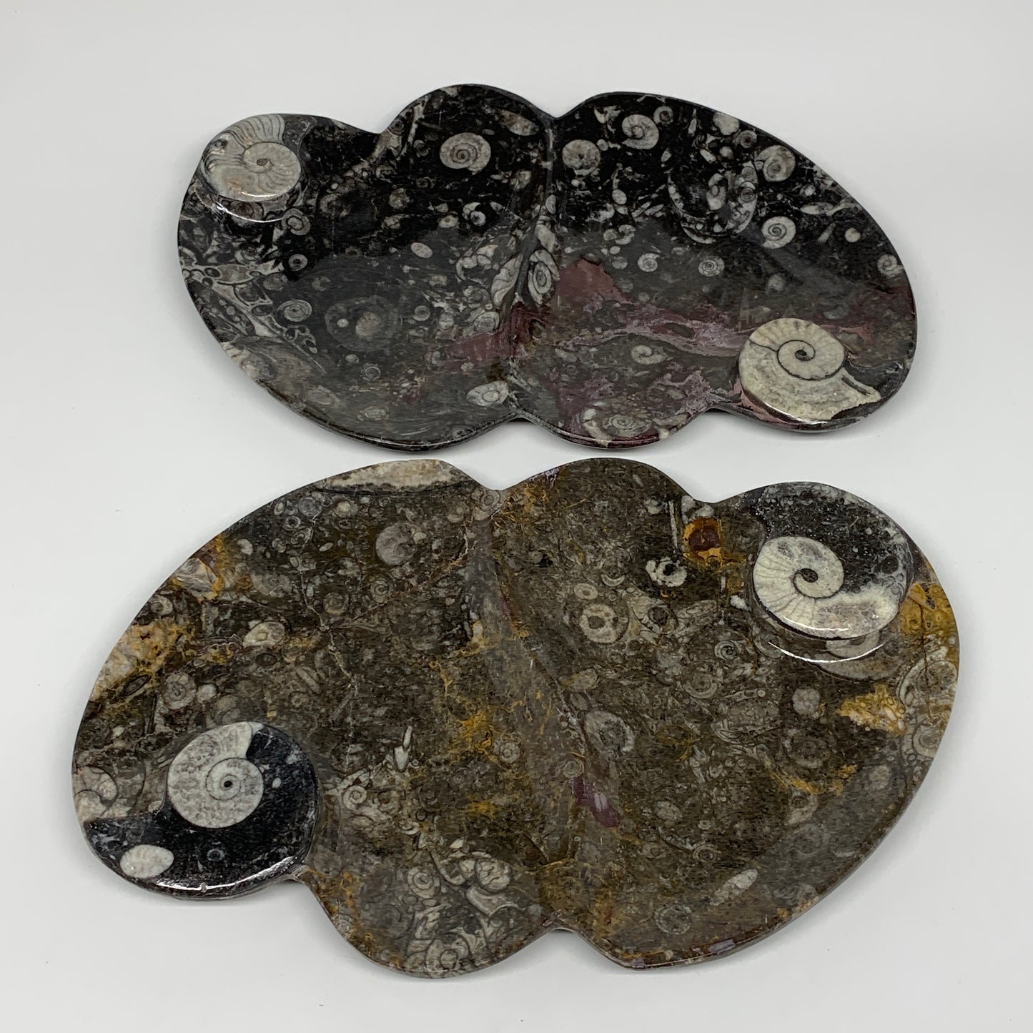 2pcs Set,8.5"x5.5" Double Heart Fossils Orthoceras Ammonite Bowls @Morocco,B8517
