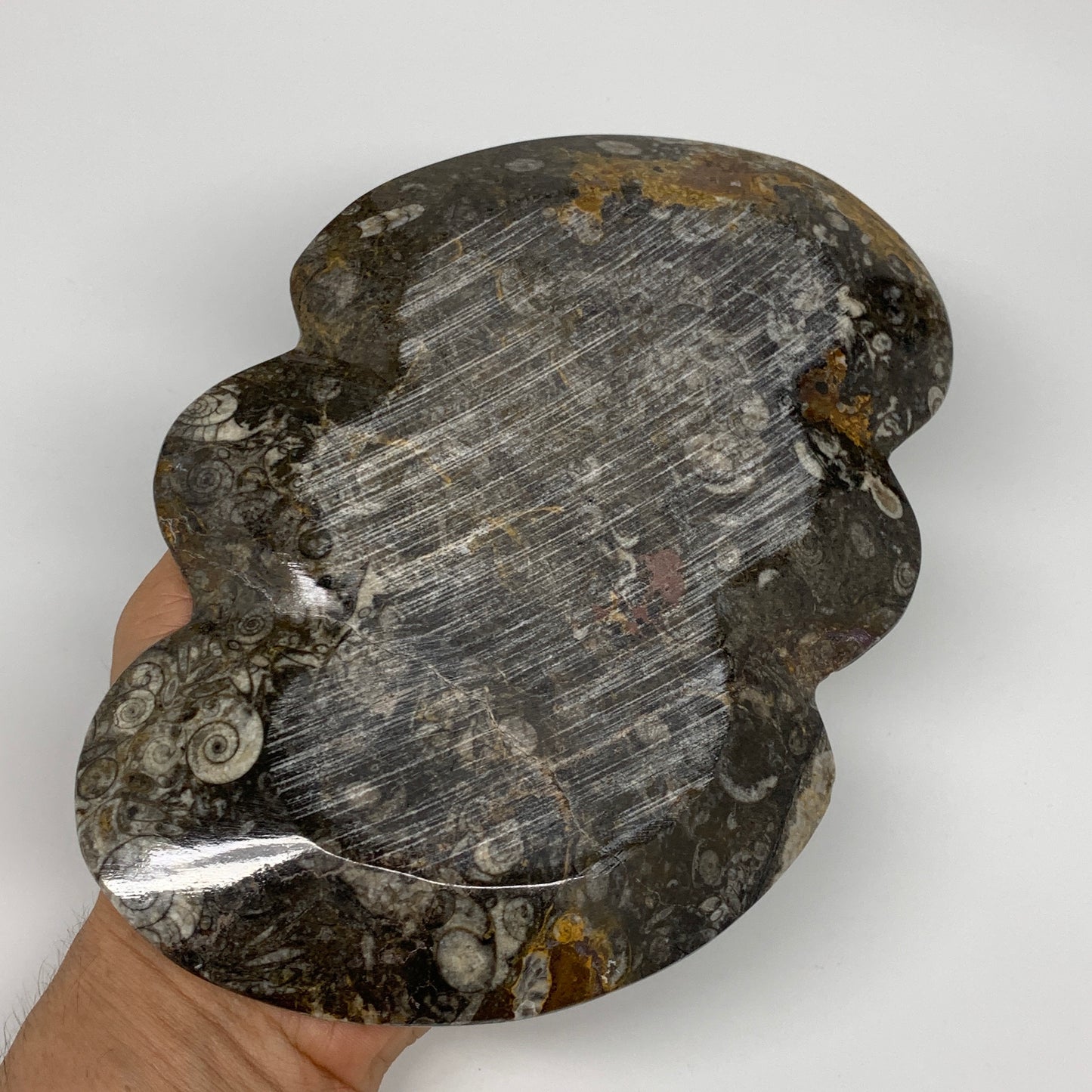 2pcs Set,8.5"x5.5" Double Heart Fossils Orthoceras Ammonite Bowls @Morocco,B8517