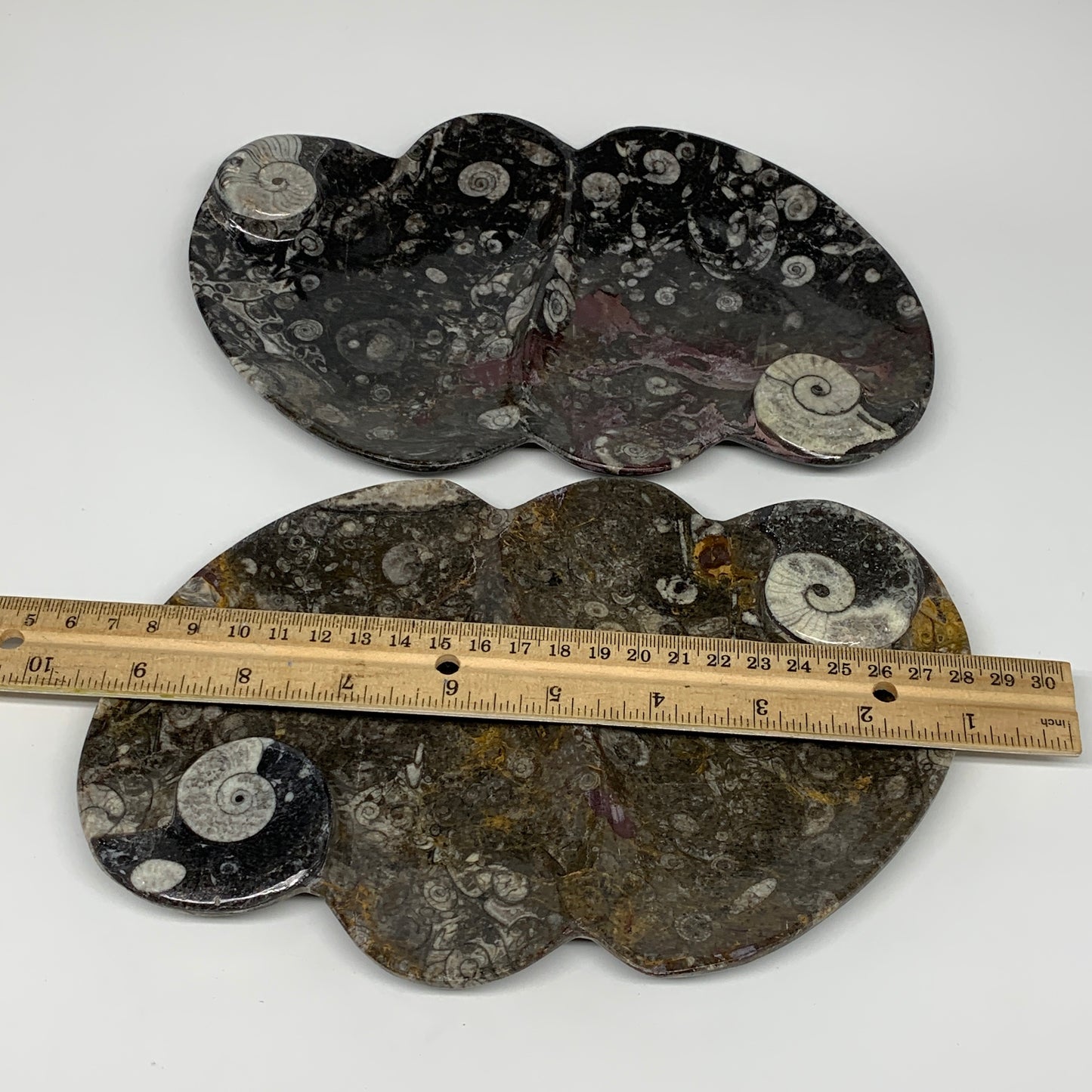 2pcs Set,8.5"x5.5" Double Heart Fossils Orthoceras Ammonite Bowls @Morocco,B8517
