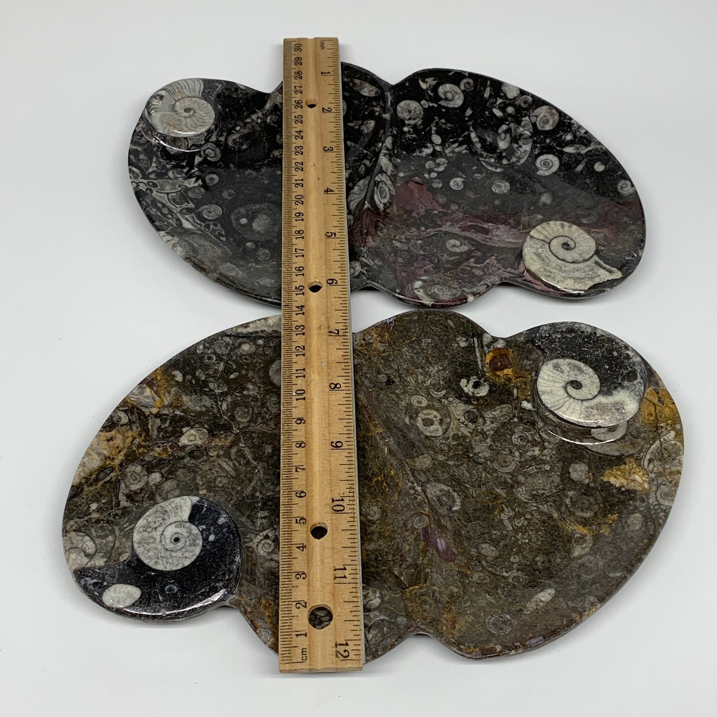 2pcs Set,8.5"x5.5" Double Heart Fossils Orthoceras Ammonite Bowls @Morocco,B8517