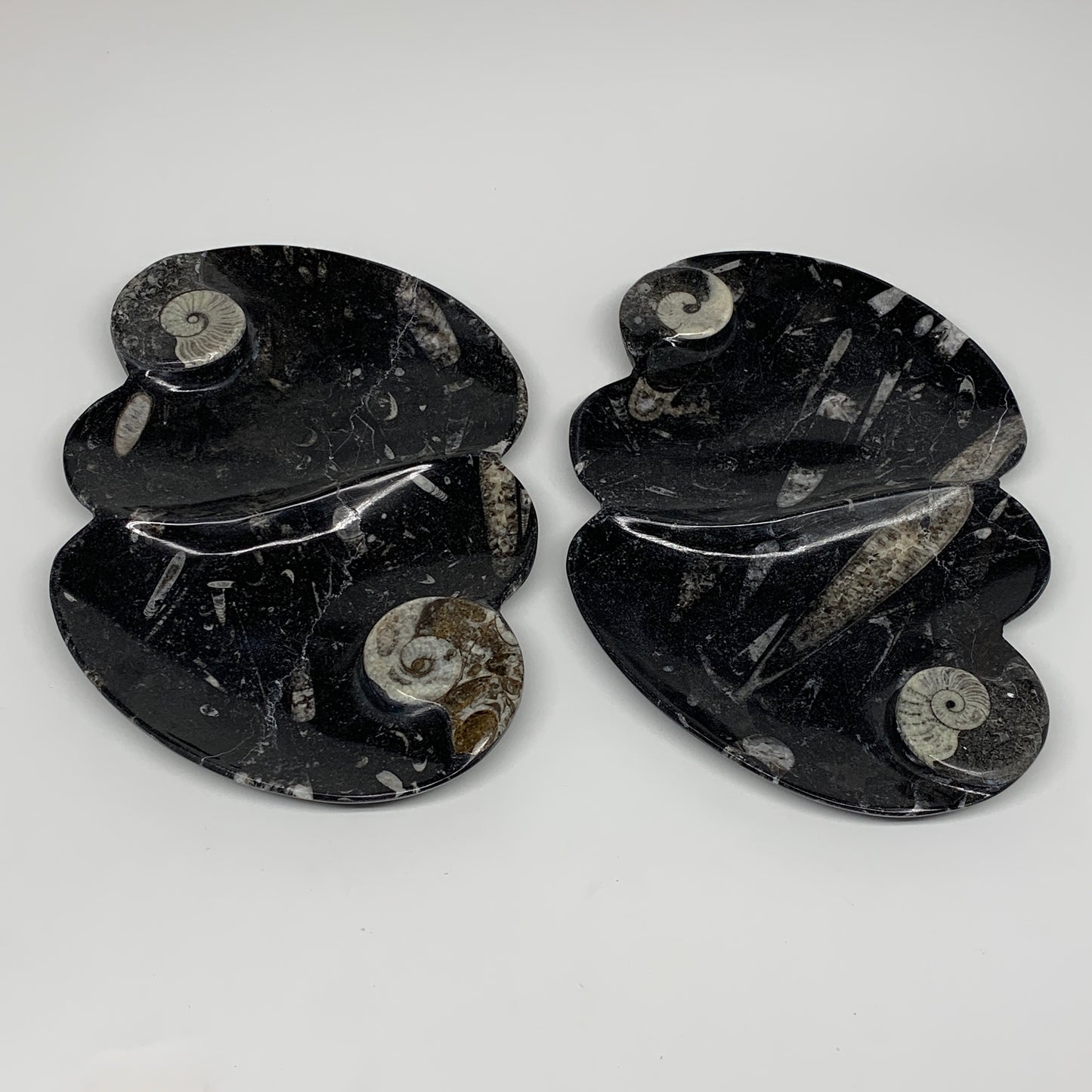 2pcs Set,8.5"x5.5" Double Heart Fossils Orthoceras Ammonite Bowls @Morocco,B8518