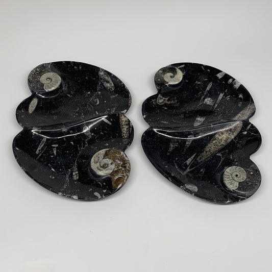 2pcs Set,8.5"x5.5" Double Heart Fossils Orthoceras Ammonite Bowls @Morocco,B8518