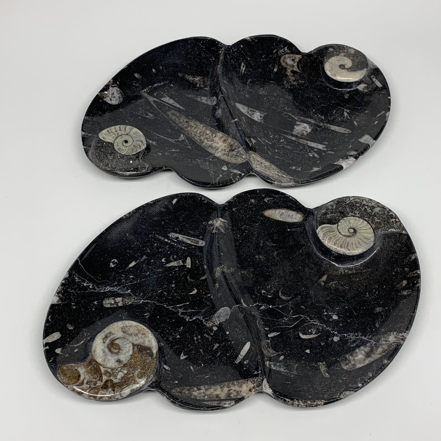 2pcs Set,8.5"x5.5" Double Heart Fossils Orthoceras Ammonite Bowls @Morocco,B8518