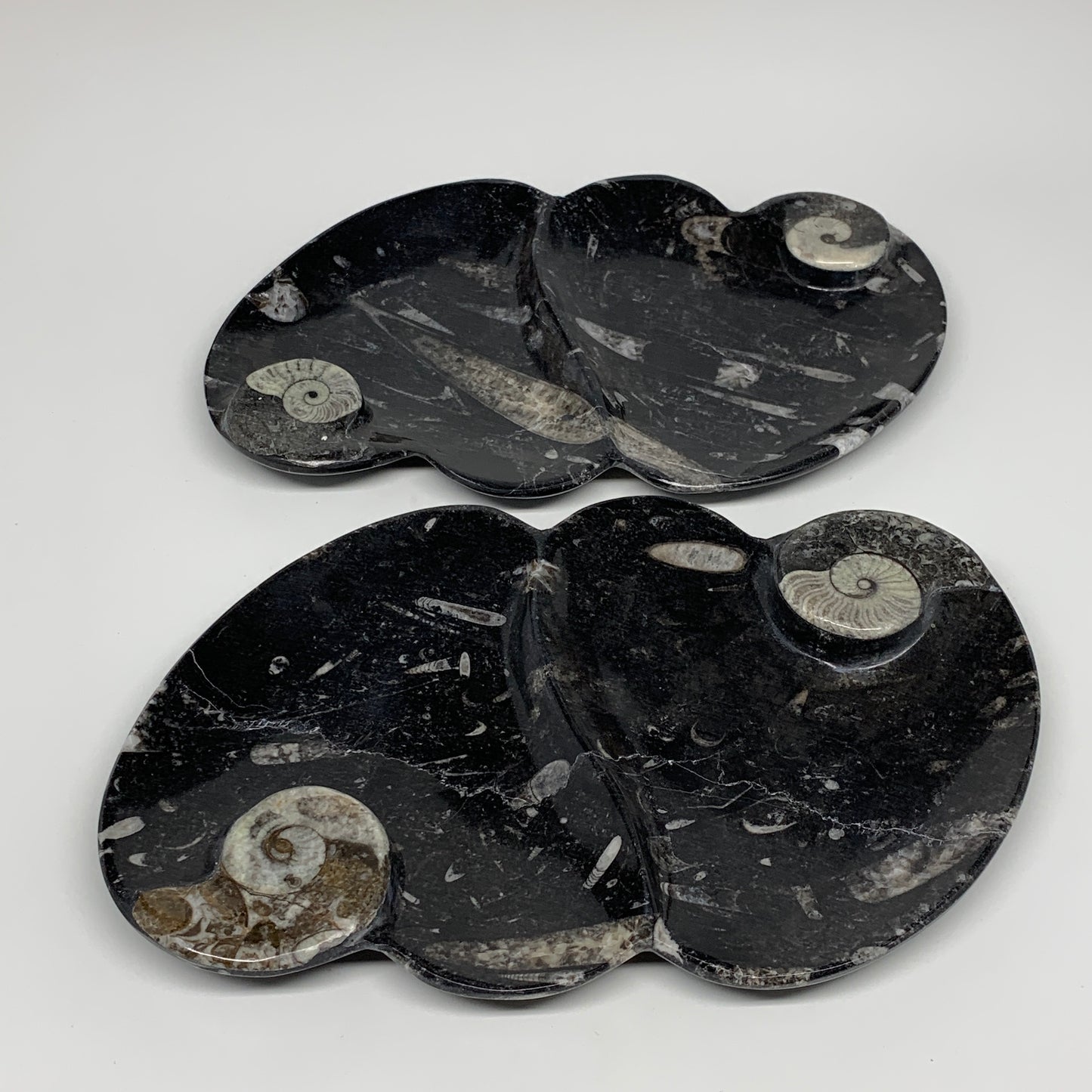 2pcs Set,8.5"x5.5" Double Heart Fossils Orthoceras Ammonite Bowls @Morocco,B8518