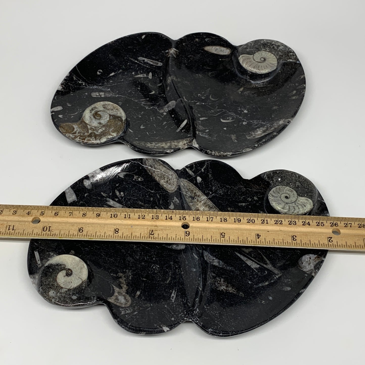 2pcs Set,8.5"x5.5" Double Heart Fossils Orthoceras Ammonite Bowls @Morocco,B8518