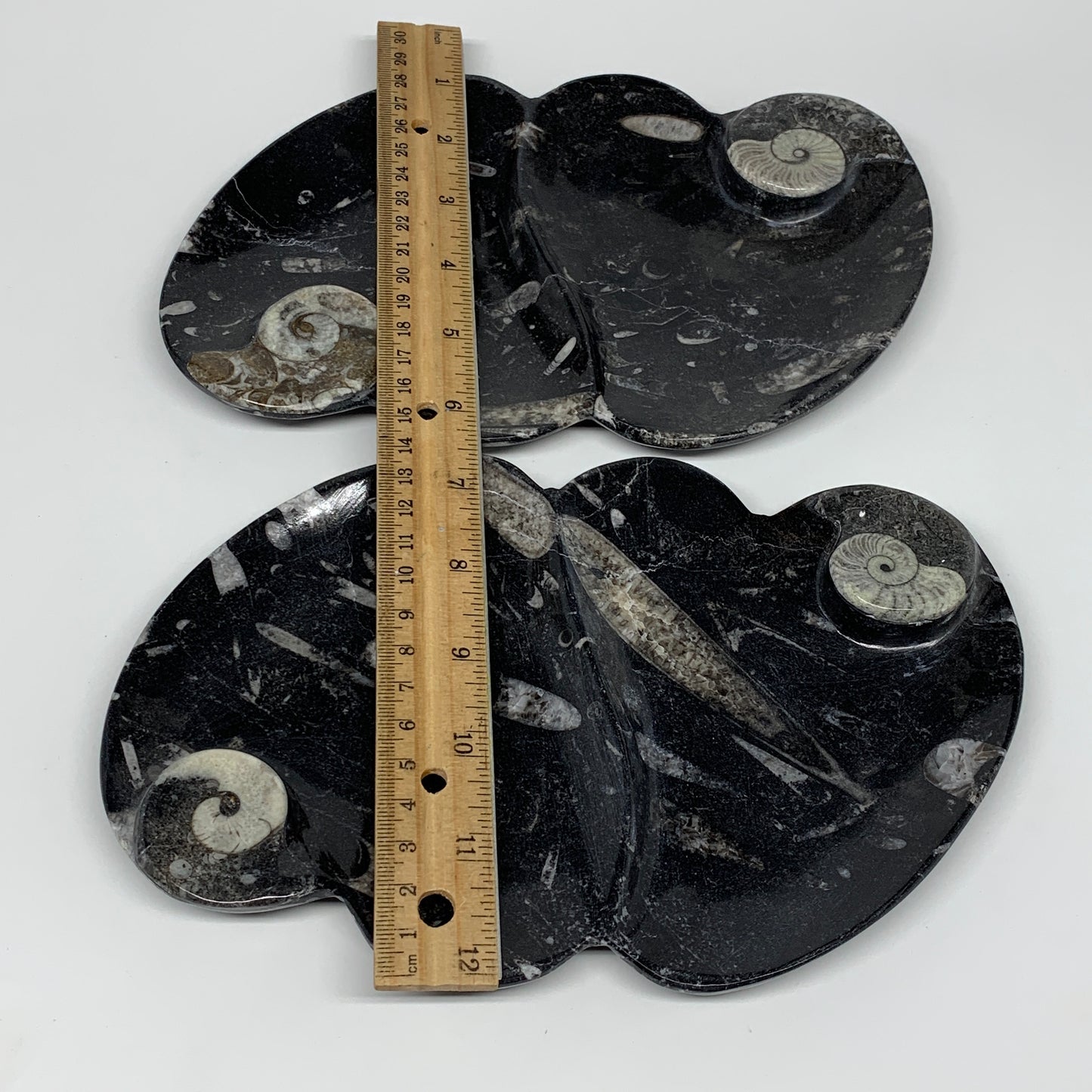 2pcs Set,8.5"x5.5" Double Heart Fossils Orthoceras Ammonite Bowls @Morocco,B8518