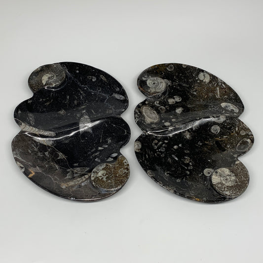 2pcs Set,8.5"x5.5" Double Heart Fossils Orthoceras Ammonite Bowls @Morocco,B8520
