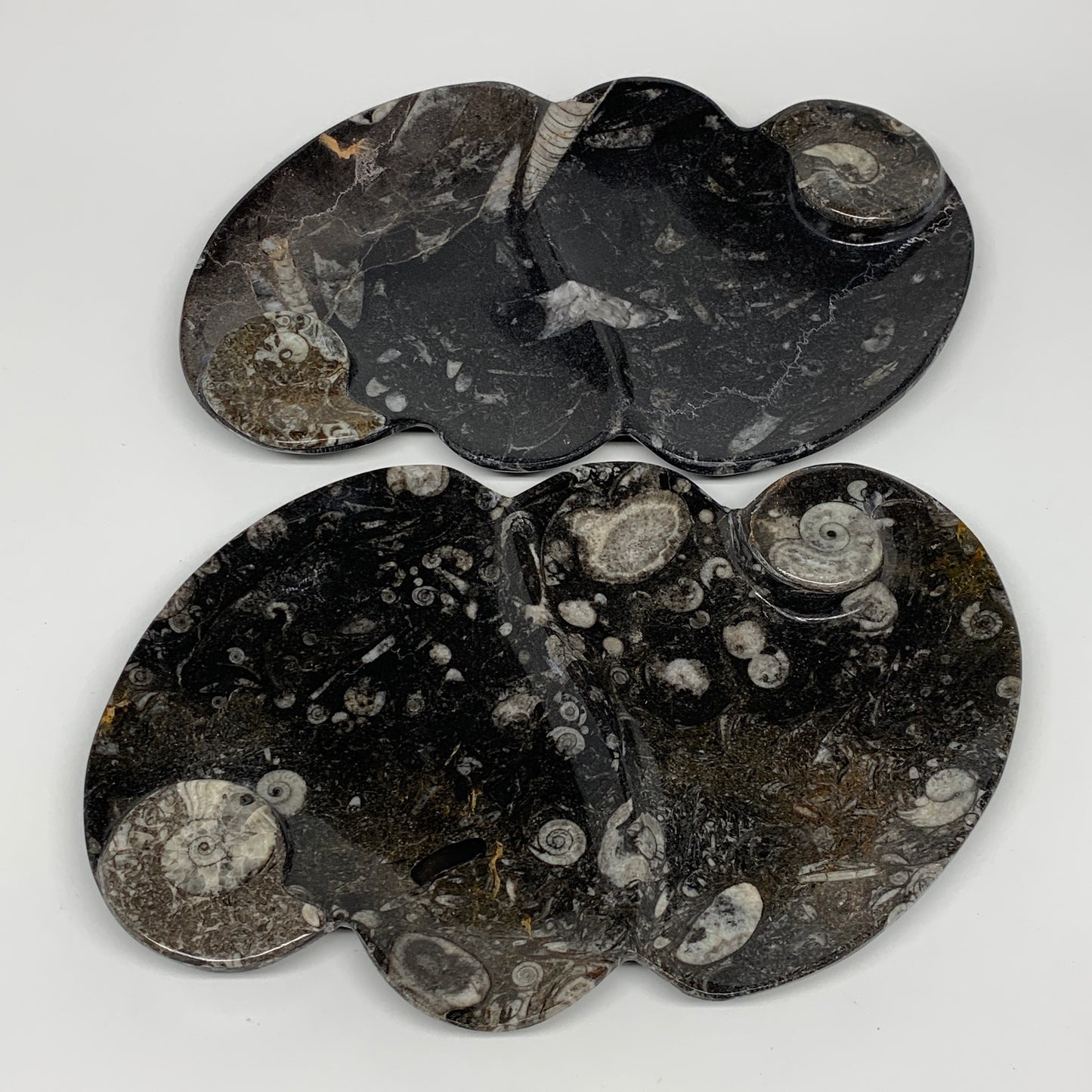 2pcs Set,8.5"x5.5" Double Heart Fossils Orthoceras Ammonite Bowls @Morocco,B8520