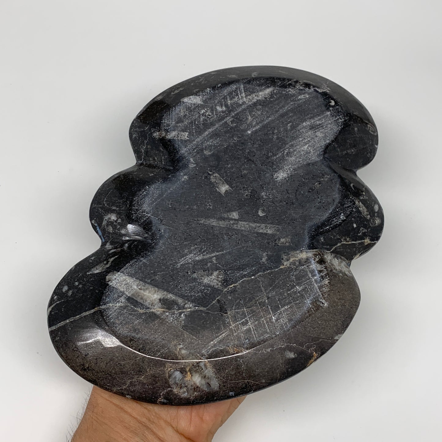 2pcs Set,8.5"x5.5" Double Heart Fossils Orthoceras Ammonite Bowls @Morocco,B8520