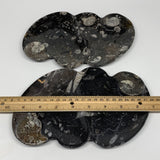 2pcs Set,8.5"x5.5" Double Heart Fossils Orthoceras Ammonite Bowls @Morocco,B8520